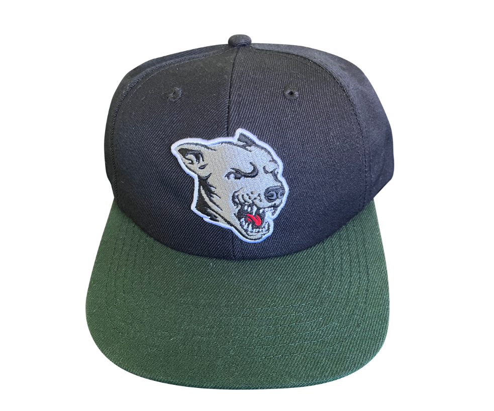 Dawgs Snapback